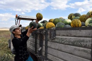 Kavun tarlasından Avrupa Şampiyonlığına