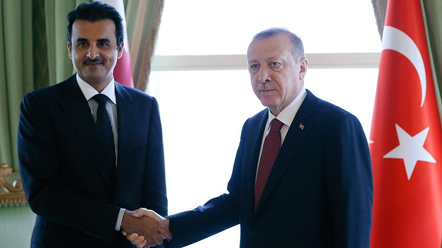 Erdoğan-Al Sani görüşmesi başladı
