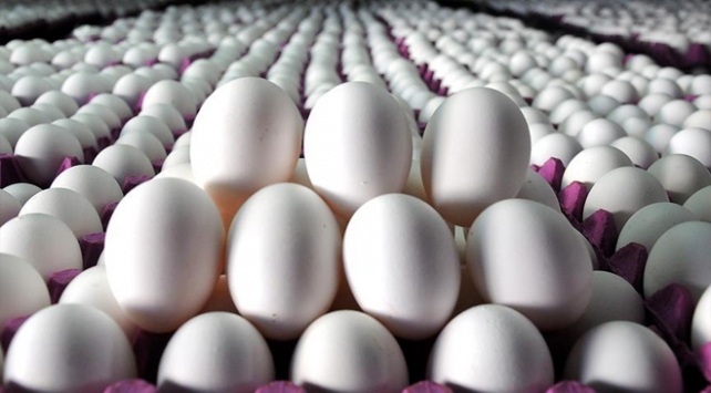 Tavuk ve yumurta ihracatı 1 milyar dolara yaklaştı