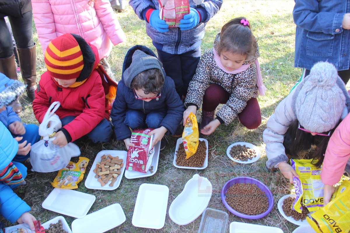 Minik öğrenciler harçlıklarıyla sokak hayvanlarına mama aldılar