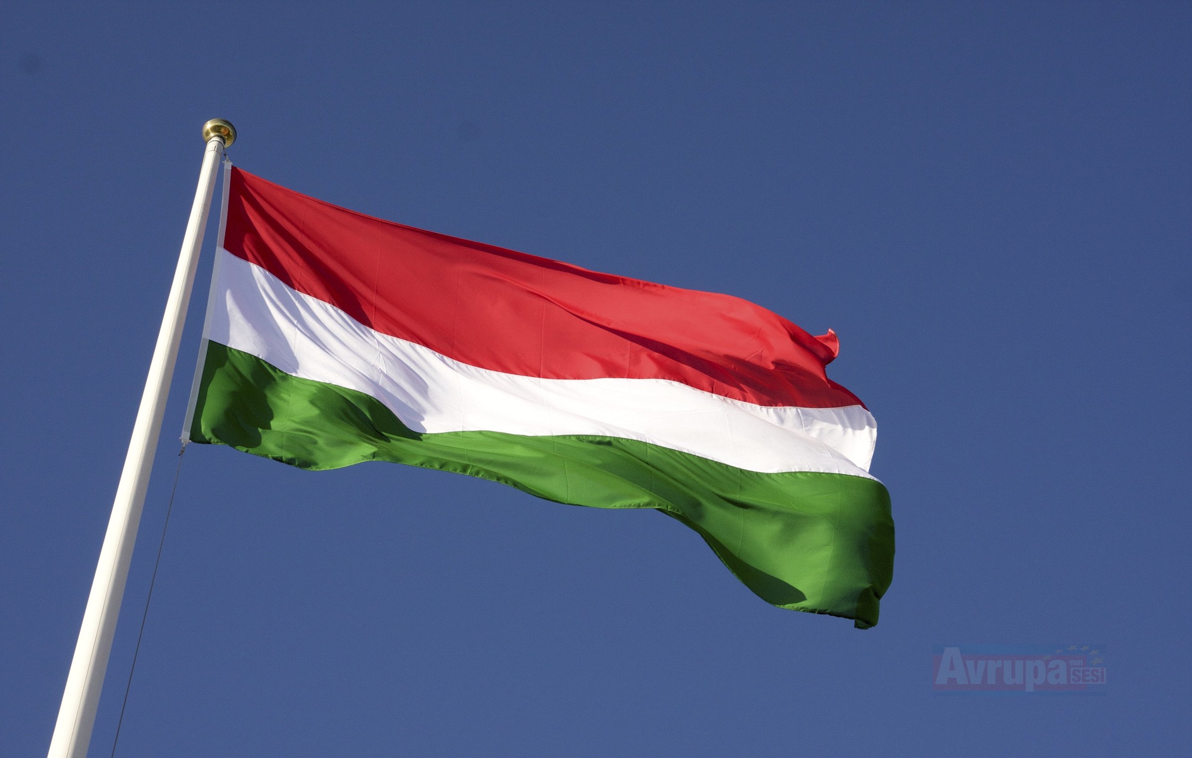 Macaristan'da Soros ve Juncker karşıtı kampanya düzenleyecek