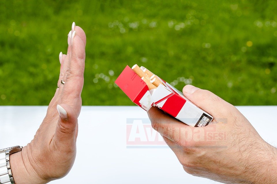 AB'nin sigara üretimi düştü