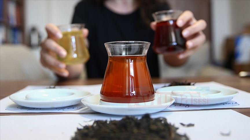 'Türkiye'de ilk kez oolong çayı üretildi'