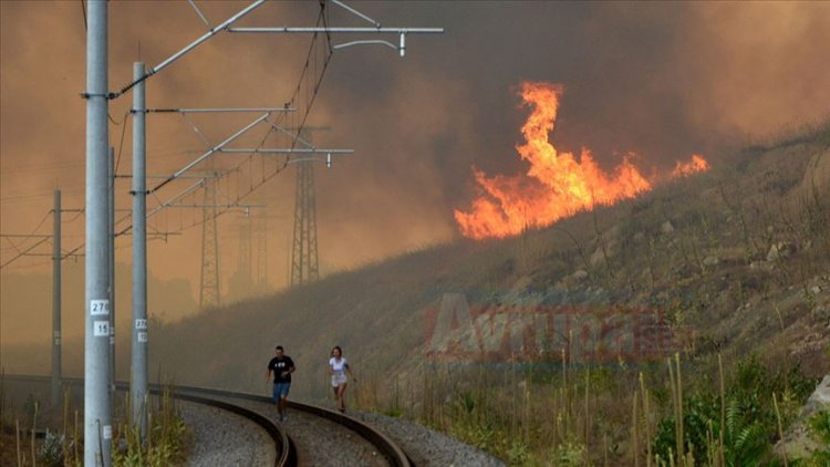 Bulgaristan-Türkiye sınırındaki yangın büyük alana yayılıyor