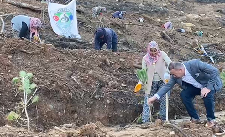 Denizli’de 5 bin fidan toprakla buluştu