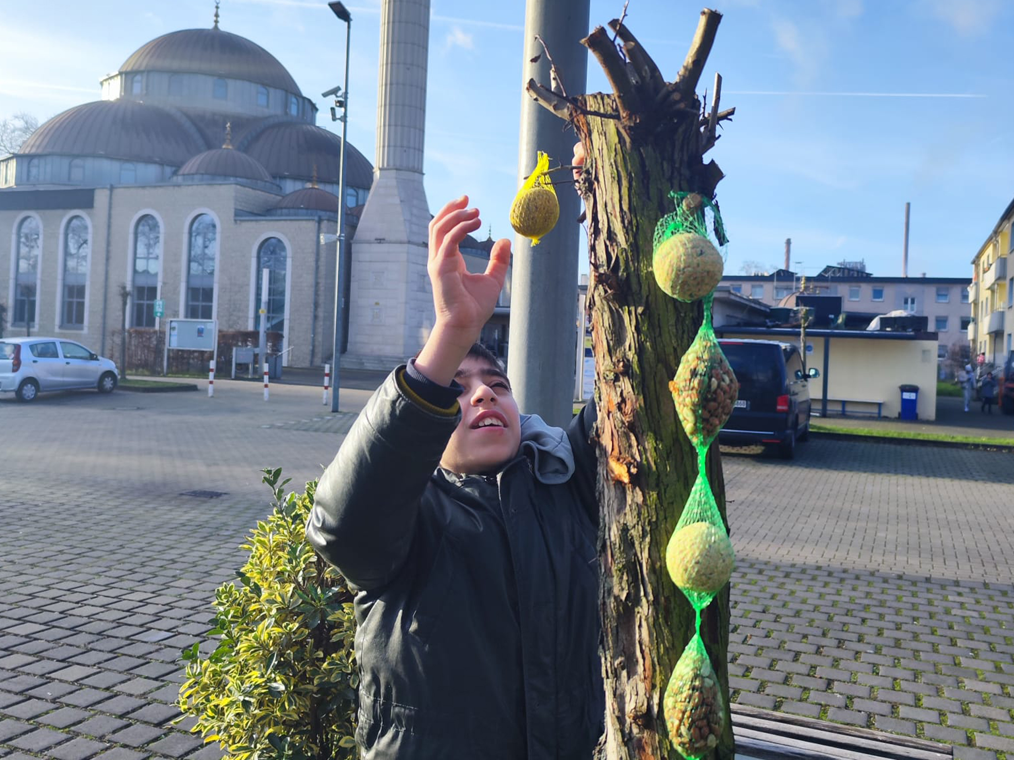 Duisburg Merkez Camii öğrencileir ağaç dallarına kuş yemi astı